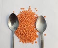 Lentil, small annual legume of the pea family and its nutritious edible seed.