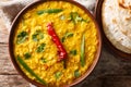 Lentil soup Dal Tadka with naan bread in a ceramic bowl on a woo Royalty Free Stock Photo