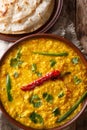 Lentil soup Dal Tadka with naan bread in a ceramic bowl on a woo Royalty Free Stock Photo