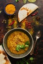 Lentil thick soup with pita bread on a dark rustic background with spices. Indian food. Top view, close-up Royalty Free Stock Photo