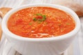 Lentil Tomato Soup Royalty Free Stock Photo