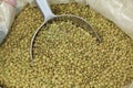 Lentils Royalty Free Stock Photo