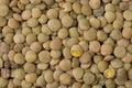 Lentils as a background