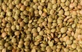 Lentils Royalty Free Stock Photo