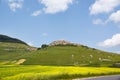 Lentils blooms in Castelluccio. Monti Sibillini. Perugia, Umbria, Italy