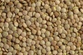 Lentils. Food background. Background texture of grains of green lentils.