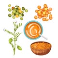 lentils food healthy set cartoon vector illustration