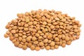 Lentils Royalty Free Stock Photo