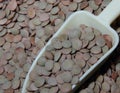 Lentils large green placer close-up with yellow dustpan