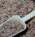 Lentils large green placer close-up with yellow dustpan