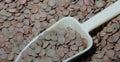 Lentils large green placer close-up with yellow dustpan