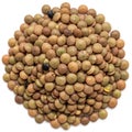 Lentils possess a smooth texture and a round, flat shape typical of this Royalty Free Stock Photo