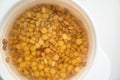 Lentils soaked in water for a wholesome Breakfast. food on a diet Royalty Free Stock Photo