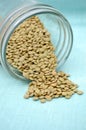 Lentils Spilling From Jar Royalty Free Stock Photo