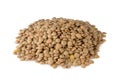 Lentils on a white background Royalty Free Stock Photo