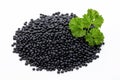 Lentin beluga. Black Lentins.Isolated on the white background. Royalty Free Stock Photo