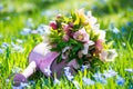 Hellebores flowers in a pink watering can Royalty Free Stock Photo