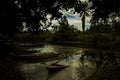 Marimbus wetland, in Chapada Diamantina Royalty Free Stock Photo