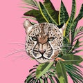 Graceful leopard and tropical leaves. Savana cat. Elegant poster, t-shirt composition, hand drawn style print.