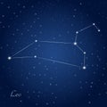 Leo constellation zodiac