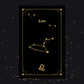 Leo Signs, Zodiac Background. Beautiful vector images Royalty Free Stock Photo