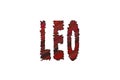 Leo zodiac, Lion horoscope, Banner, Poster and Sticker