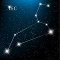 Leo Zodiac sign Royalty Free Stock Photo