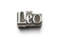 Leo Zodiac Sign