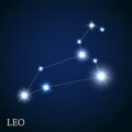 Leo Zodiac Sign of the Beautiful Bright Stars Royalty Free Stock Photo