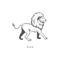 Leo zodiac symbol, hand drawn Royalty Free Stock Photo