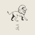 Leo zodiac symbol, hand drawn Royalty Free Stock Photo