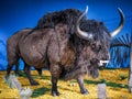 LEOBEN, AUSTRIA , 05/27/2017: Conservated Steppe Bison Ice Age Safari Exhibition Royalty Free Stock Photo