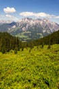 Leogang Mountains Leoganger Steinberge with highest peak Birnhorn, idyllic summer landscape Alps, Austria Royalty Free Stock Photo