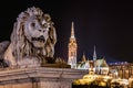 Stone statue of a lion, placed to the entry of the Chain Bridge, Budapest, Hungary Royalty Free Stock Photo