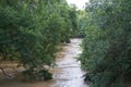 Leon River flood stage