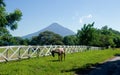 Leon Viejo scenic Nicaragua