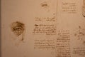 Leonardo da Vinci drawings on handmade cotton paper, vintage background