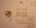 Leonardo da Vinci drawings on handmade cotton paper, vintage background