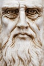 Leonardo da Vinci frontal view entire face