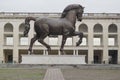 Leonardo da vinci horse milan,milano,expo2015