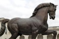 Leonardo da vinci horse milan,milano,expo2015