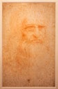 Leonardo da Vinci portrait on handmade cotton paper, Royal Library - Turin, Italy