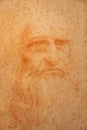 Leonardo da Vinci portrait on handmade cotton paper, Royal Library - Turin, Italy Royalty Free Stock Photo