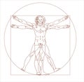 Leonardo da Vinci`s vitruvian man in vector