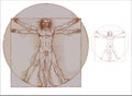 Leonardo da Vinci`s vitruvian man in vector Royalty Free Stock Photo