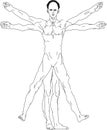 Leonardo da Vinci`s vitruvian man