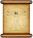 Leonardo da Vinci Vitruvian