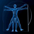 Leonardo da Vinci Vitruvian Man Royalty Free Stock Photo