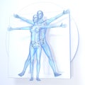 Leonardo da Vinci Vitruvian Man and Woman, Couple Royalty Free Stock Photo