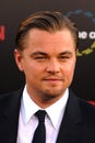Leonardo DiCaprio Royalty Free Stock Photo